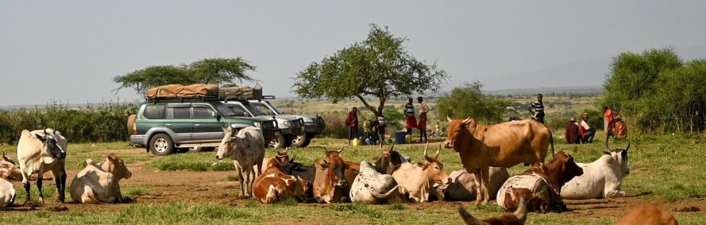 rooftop tent camping